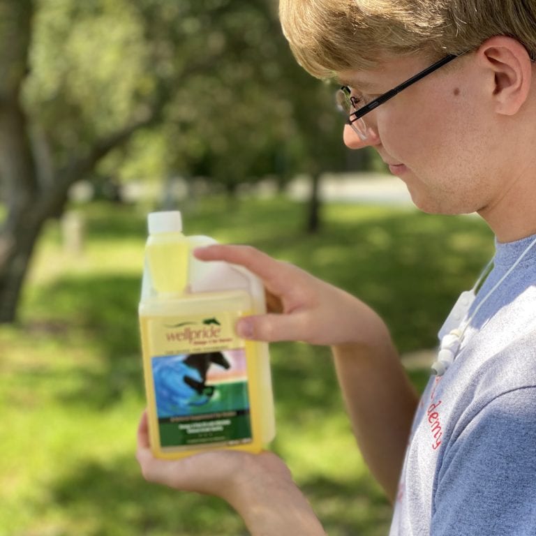 How to Find the Best Omega3 Supplement for Horses Wellpride