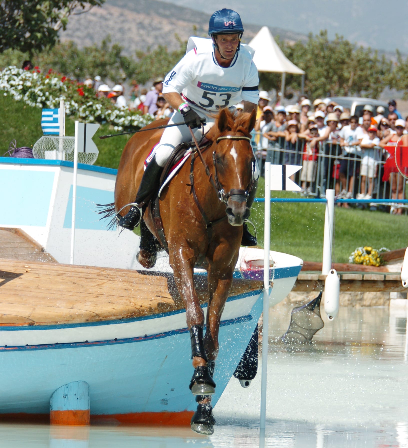 Omega3 for Horses with Allergies & Skin Problems Wellpride