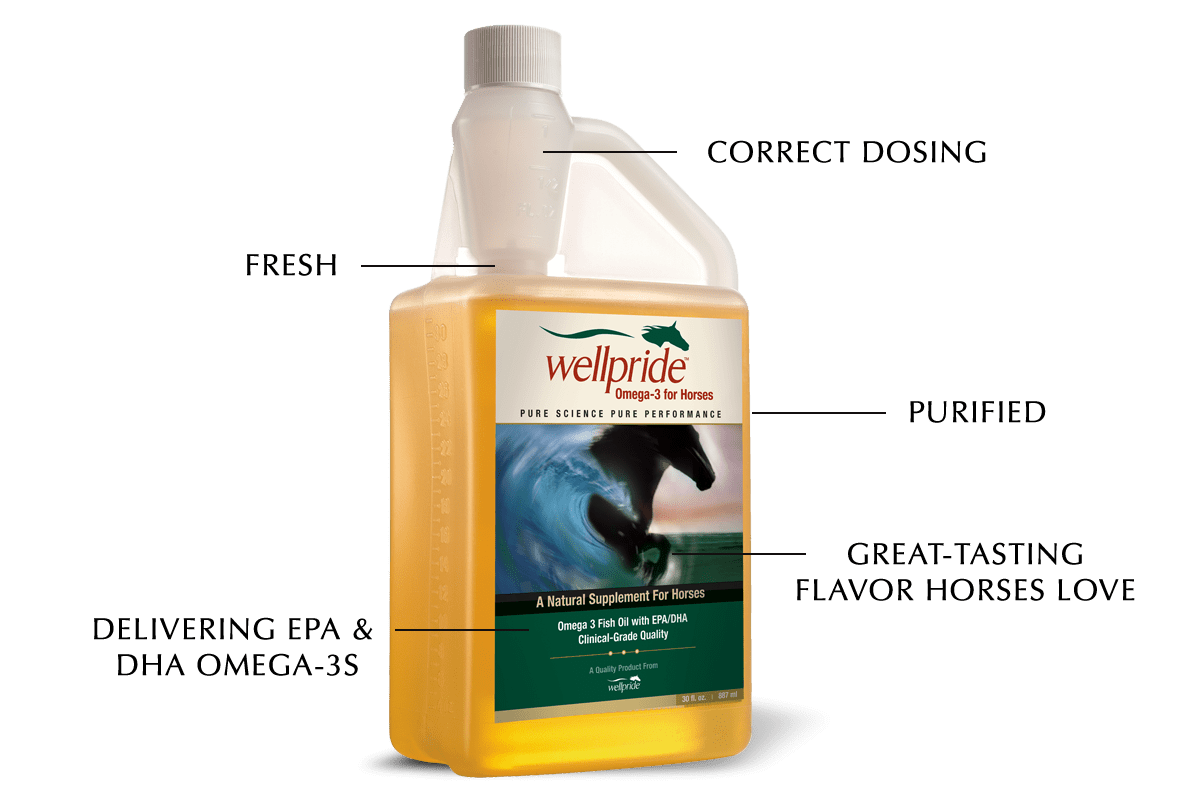 Wellpride Fish Oil for Horses Benefits