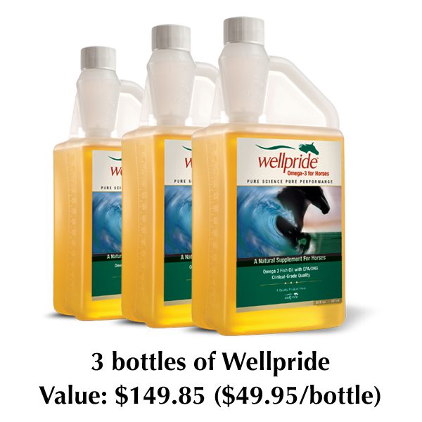 Wellpride Photo Contest Prize